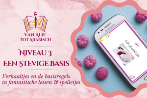 Niveau 3: Een stevige basis