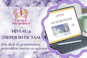 Niveau 4: Dieper in de taal