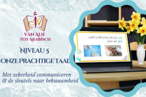 Niveau 5: Onze Prachtige Taal