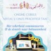 Niveau 5: Onze Prachtige Taal