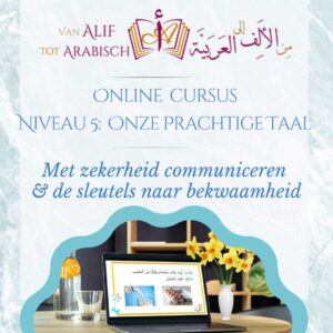 Niveau 5: Onze Prachtige Taal