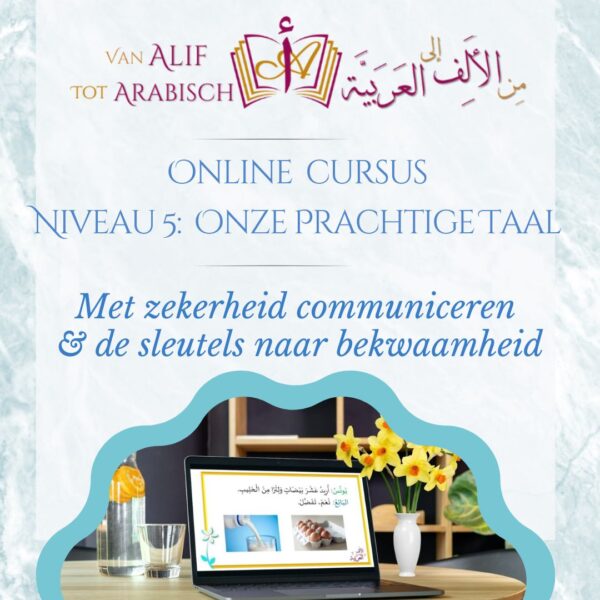 Niveau 5: Onze Prachtige Taal