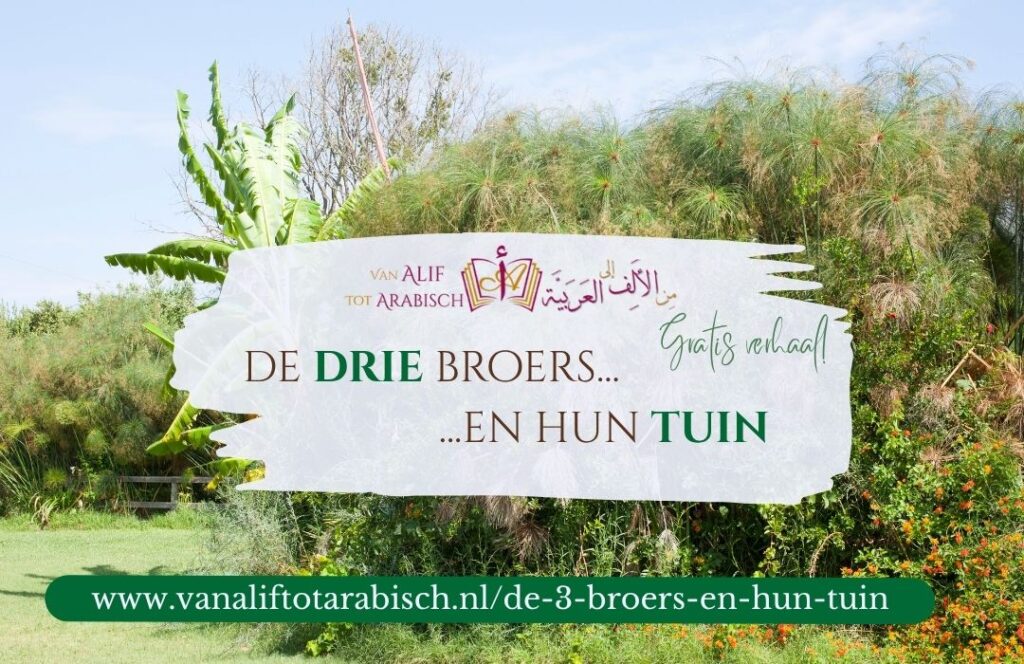 gratis verhaal de drie broers en hun tuin